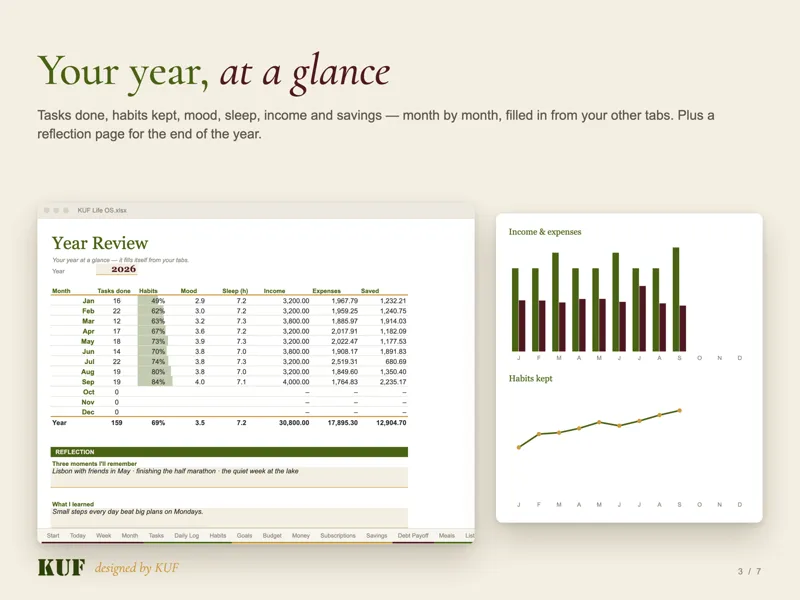 Year Review tab with monthly habits, mood and money