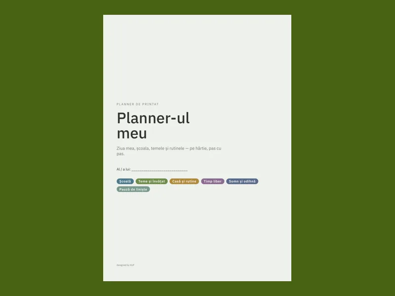 Planner pentru adolescenți cu ADHD sau TSA, PDF de tipărit și Excel